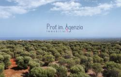 Sale Land with sea view Carovigno 3